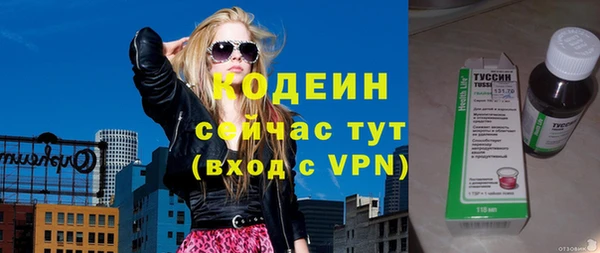 молекула духа Лабытнанги
