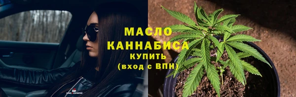 молекула духа Лабытнанги