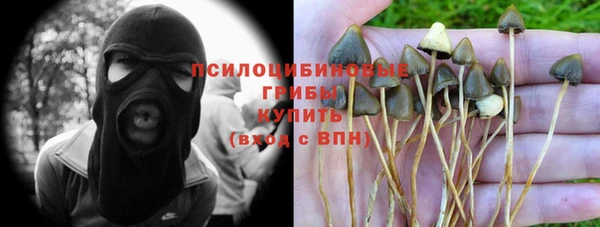 мдпв Ладушкин