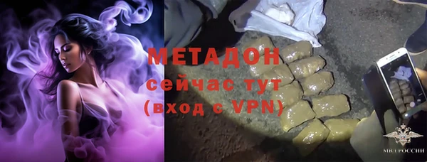 мдпв Ладушкин