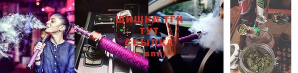 мдпв Ладушкин