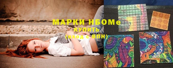 молекула духа Лабытнанги