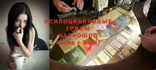 молекула духа Лабытнанги