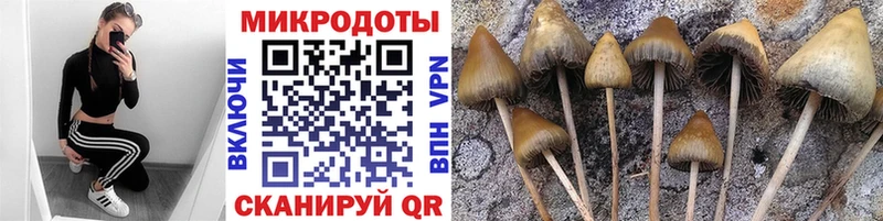 Псилоцибиновые грибы GOLDEN TEACHER  это клад  Покачи  хочу наркоту 